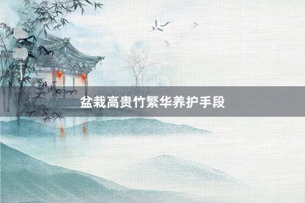盆栽高贵竹繁华养护手段