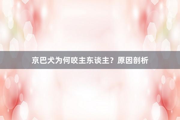 京巴犬为何咬主东谈主？原因剖析