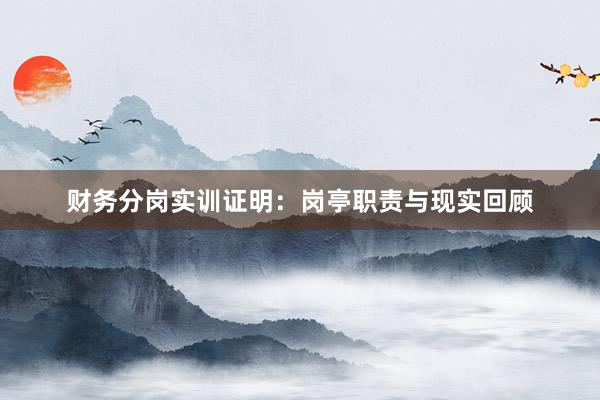 财务分岗实训证明：岗亭职责与现实回顾